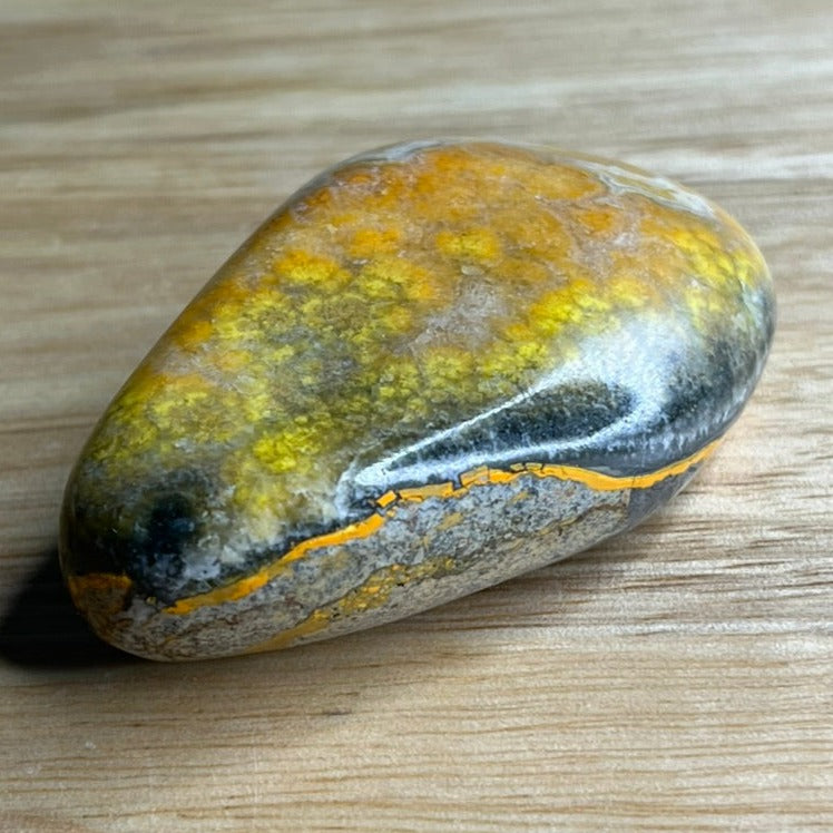 Bumblebee Jasper Freeform - E