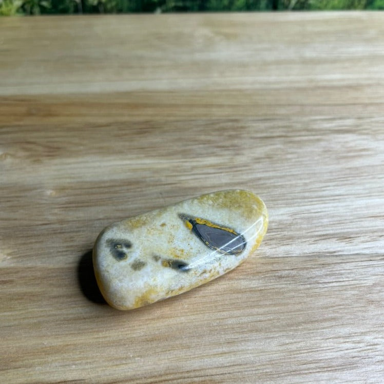 Bumblebee Jasper Freeform - D