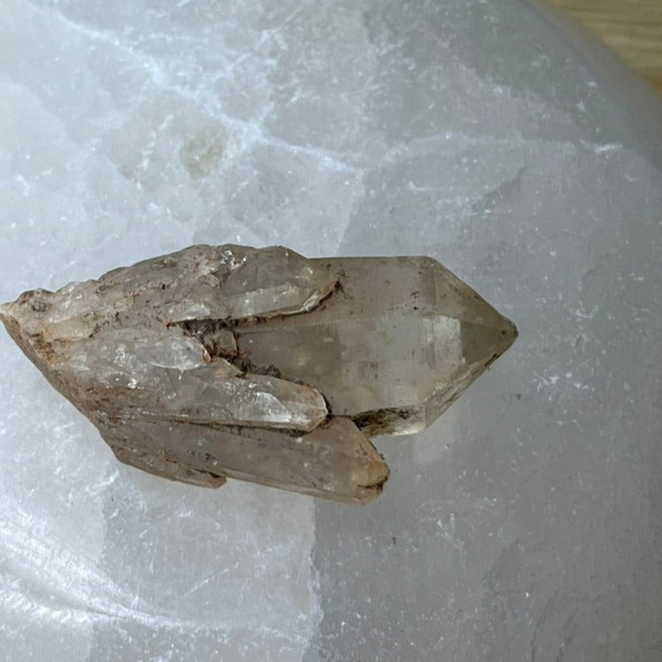 Congo Citrine - HH