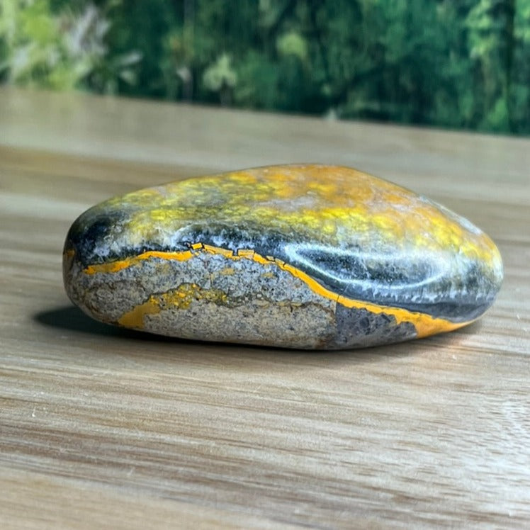 Bumblebee Jasper Freeform - E