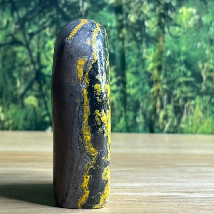 Freestanding Bumblebee Jasper - E