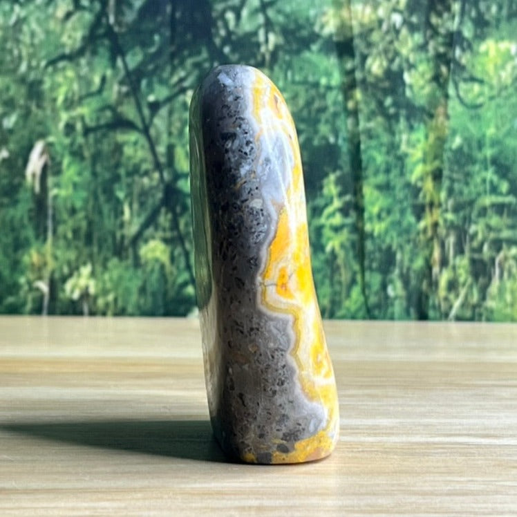 Freestanding Bumblebee Jasper - D