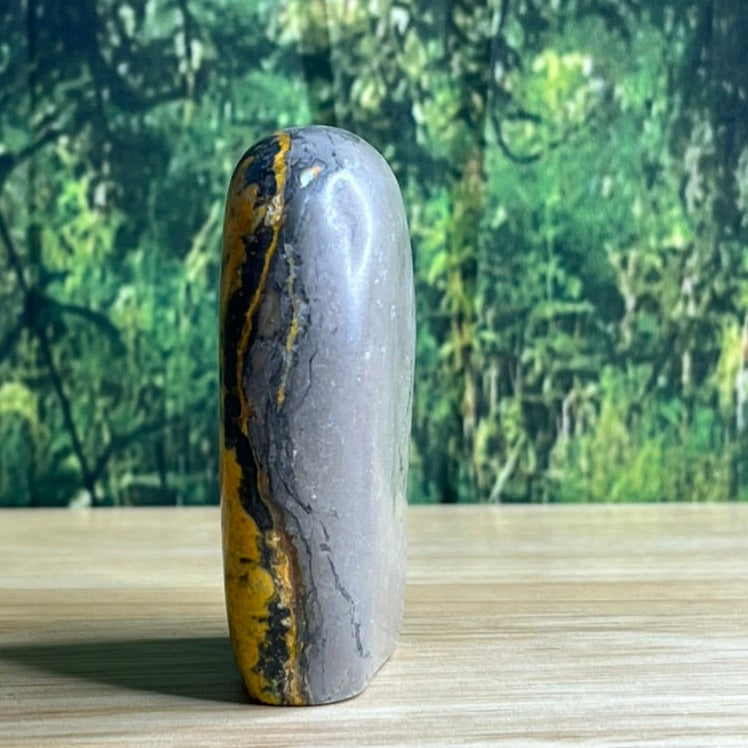 Freestanding Bumblebee Jasper - E