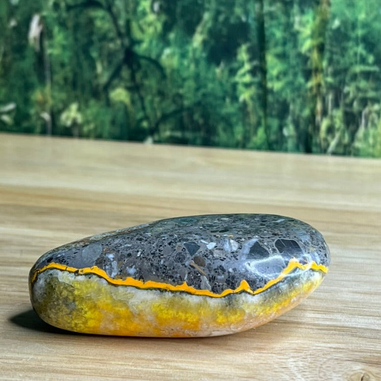 Bumblebee Jasper Freeform - E