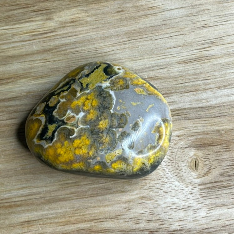 Bumblebee Jasper Freeform - F