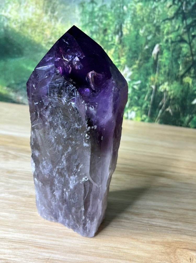 Amethyst Dragontooth Wand - B