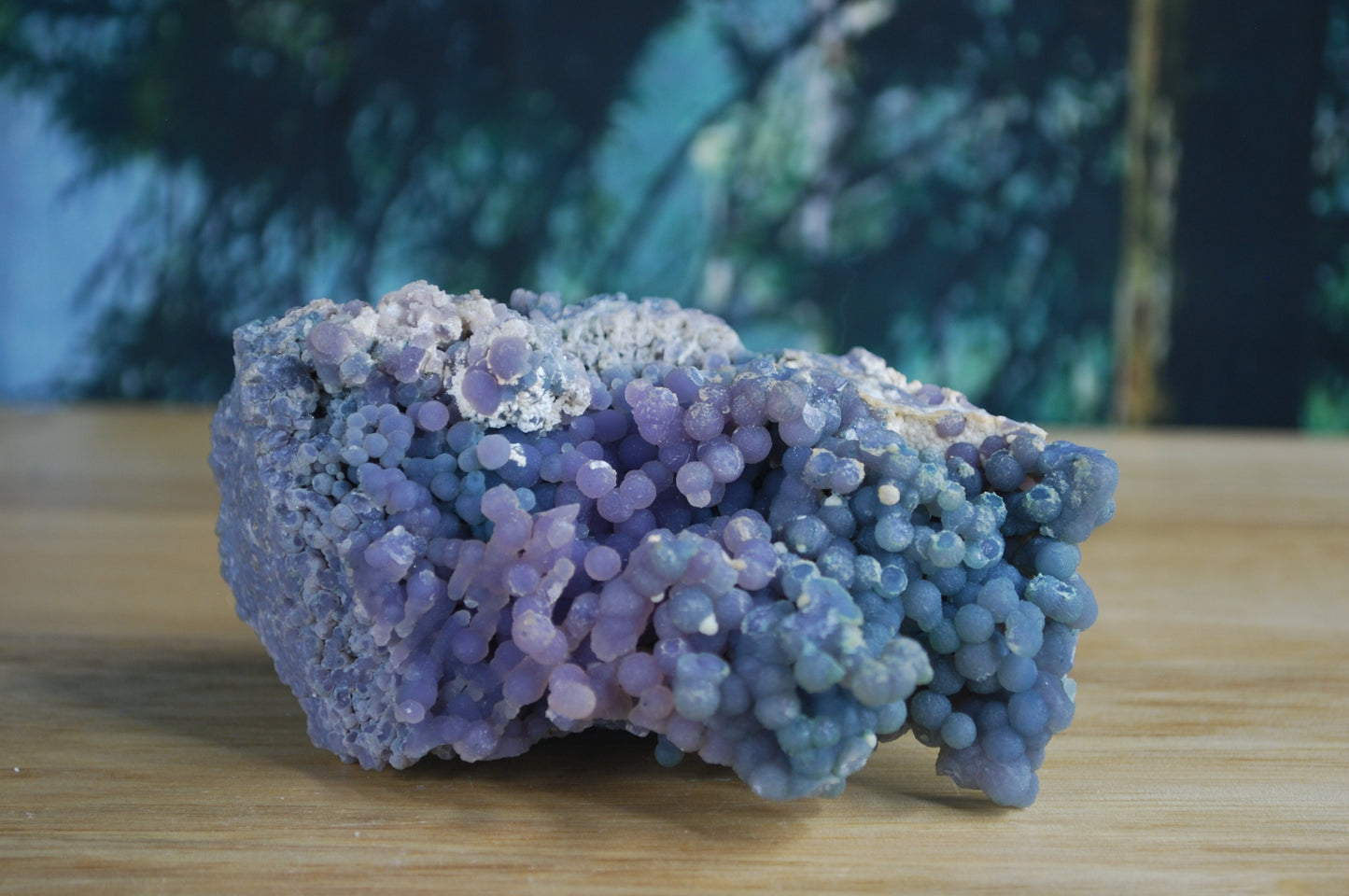 Grape Agate / Botryoidal Purple Chalcedony - I