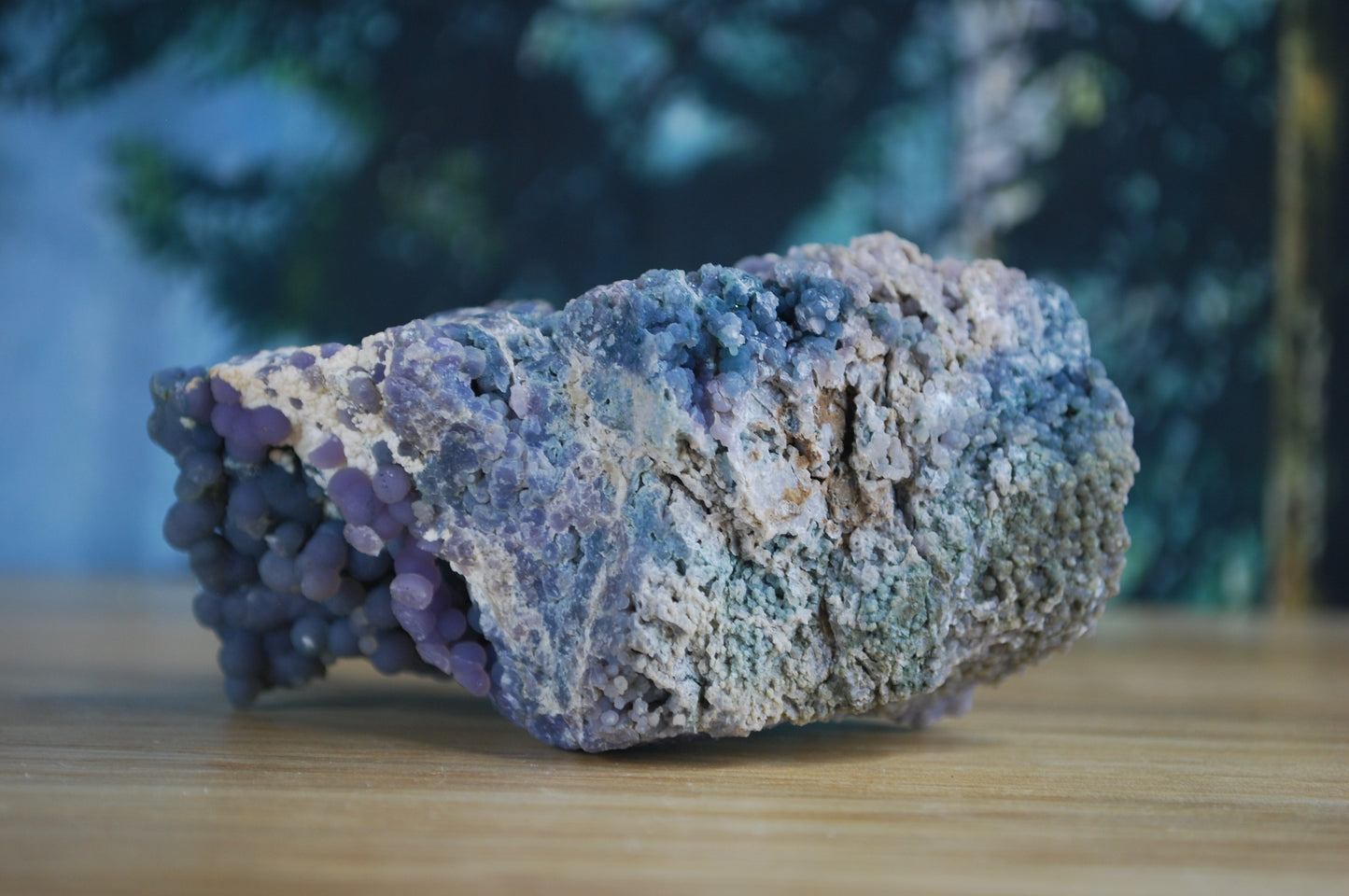 Grape Agate / Botryoidal Purple Chalcedony - I