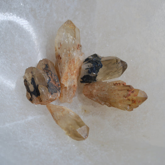 Congo Citrine - Extra Small