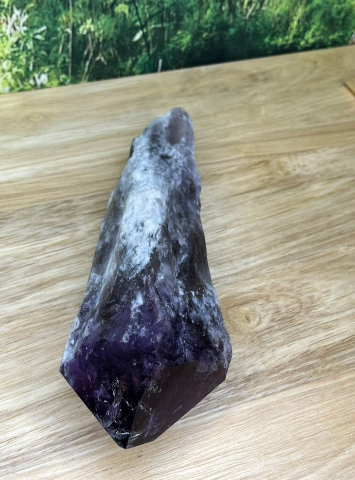 Amethyst Dragontooth Wand - F