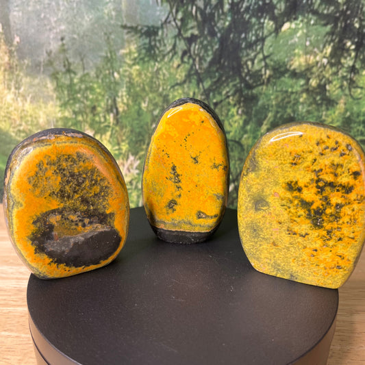 Freestanding Bumblebee Jasper