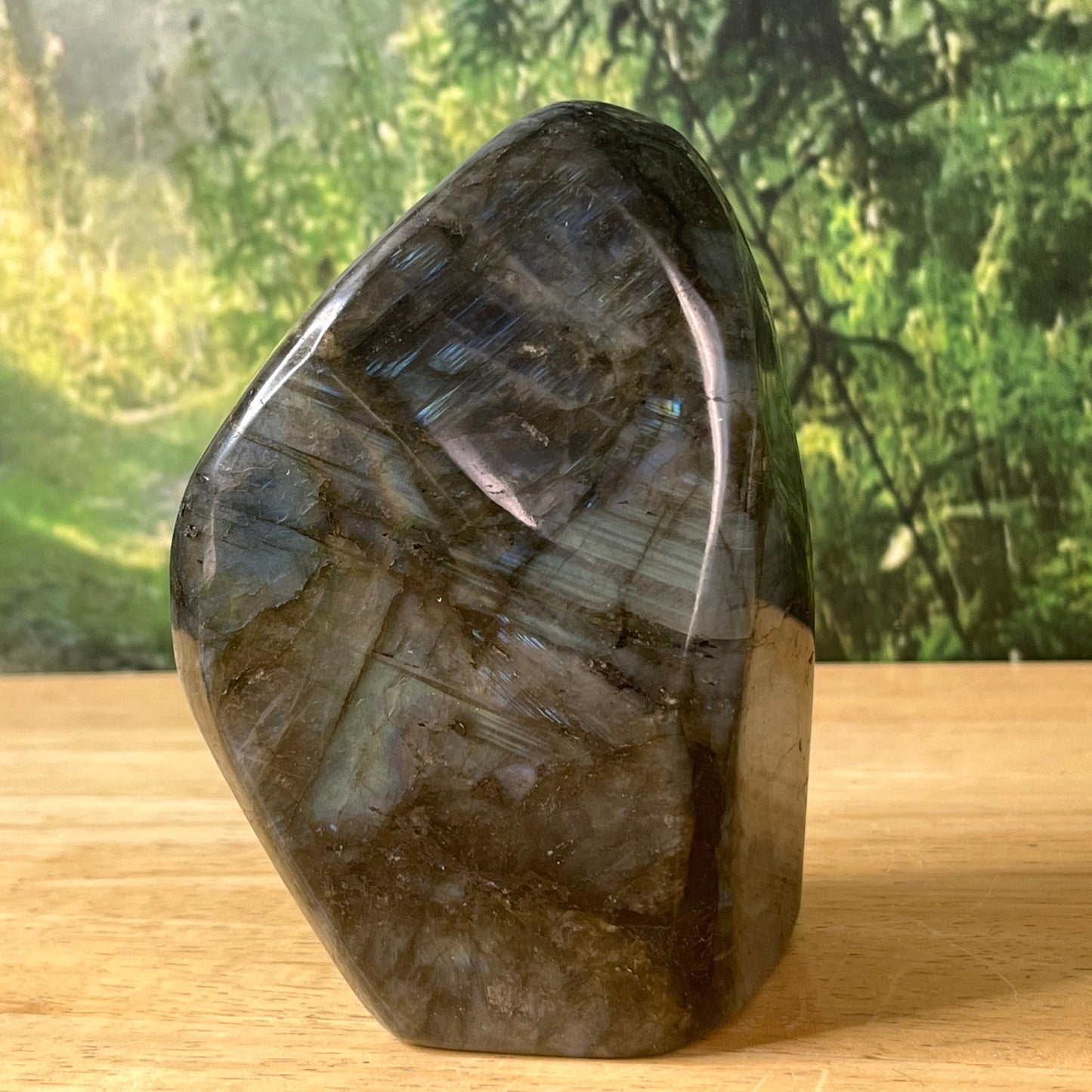 Labradorite - Polished - F