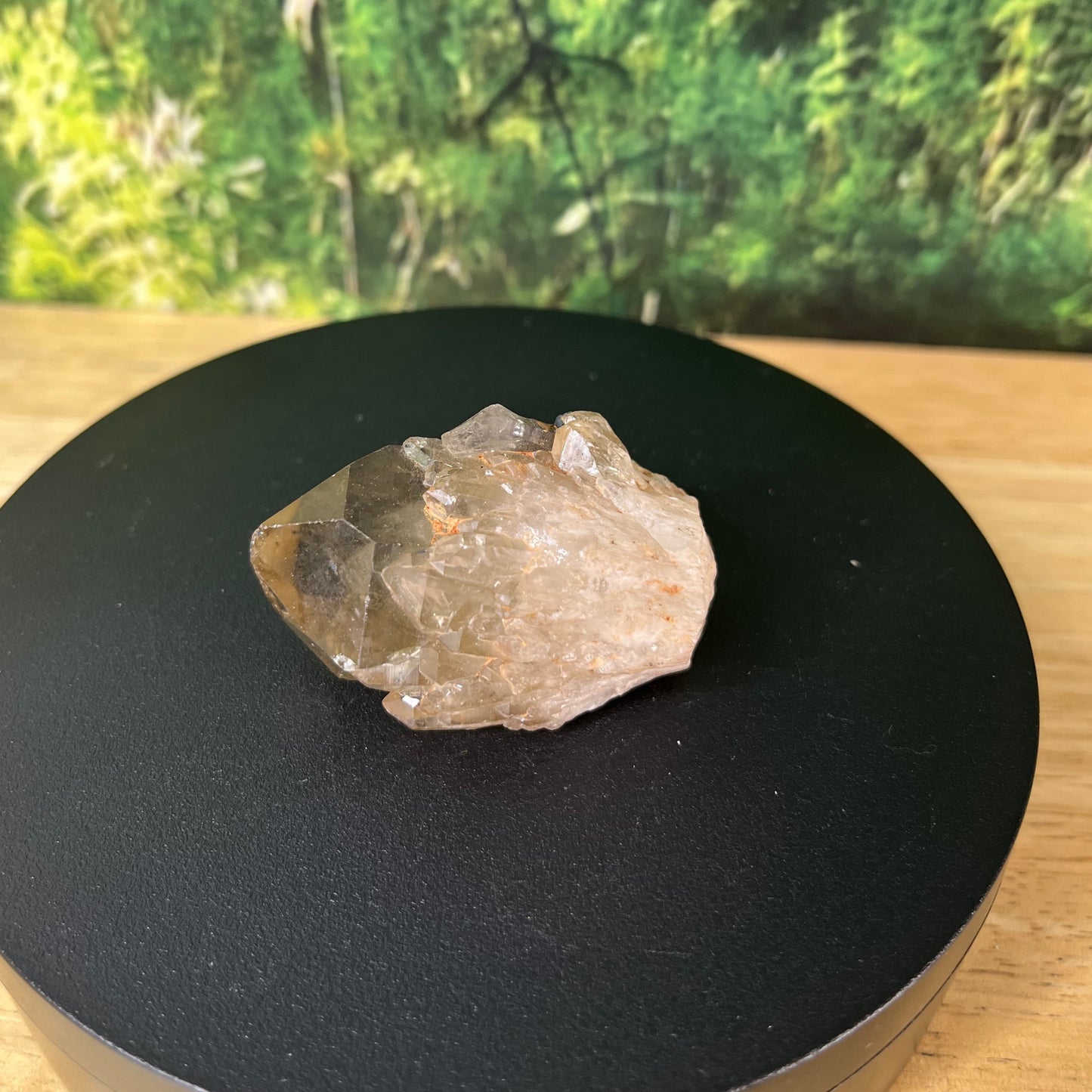 Congo Citrine - R