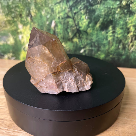 Congo Citrine - K