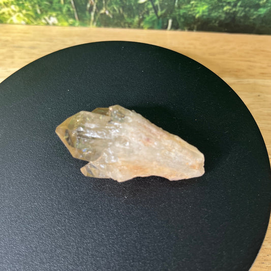 Congo Citrine - T