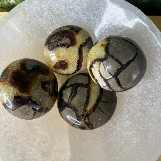 Septarian Tumbles