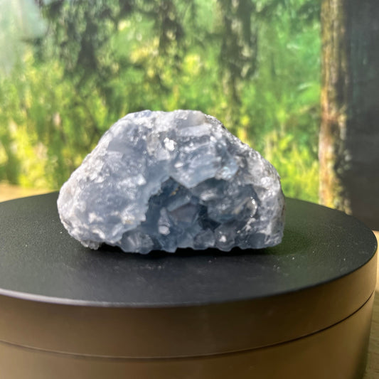 Celestite Cluster - H